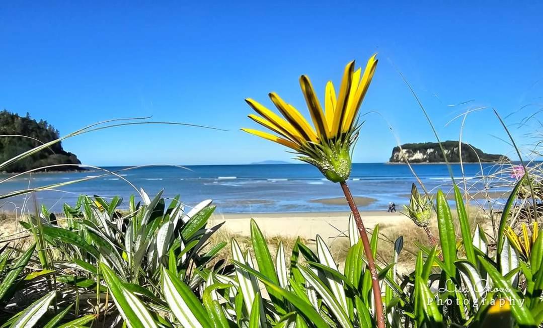 Southpacific Motel photo 3