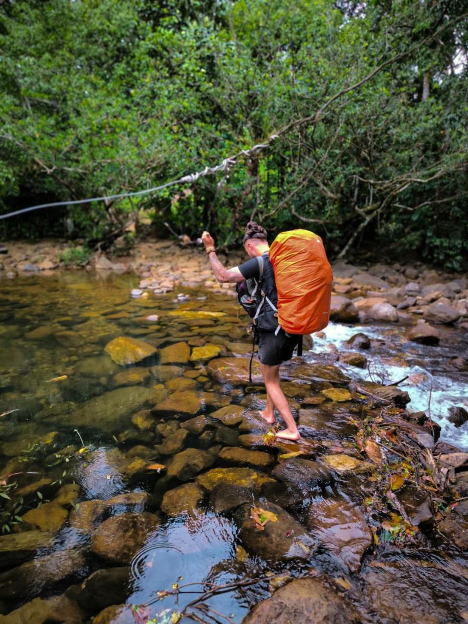 Rainforest cabin photo 3