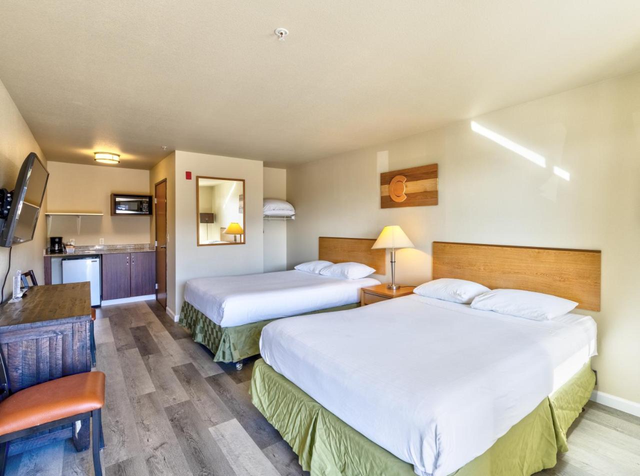 City Inn photo 3