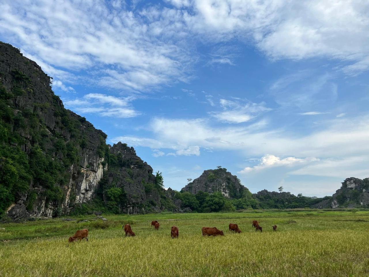 Ninh Binh Family Homestay photo 3