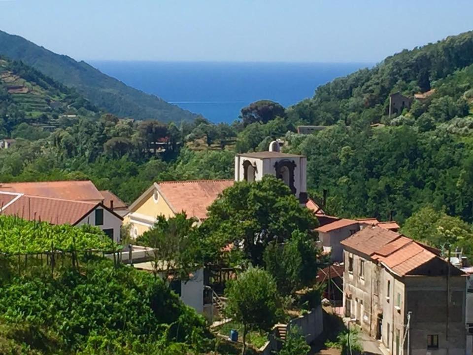 Foto - Farfalle e Gabbiani