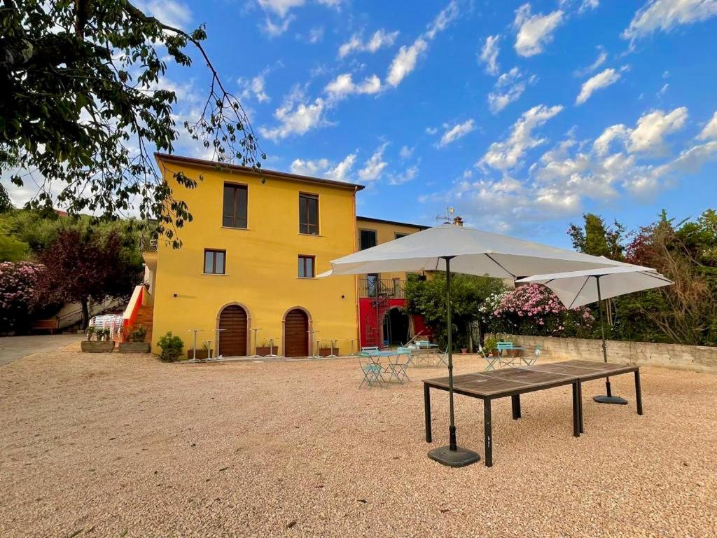 Donna Vittori - Borgo Agricolo - 2