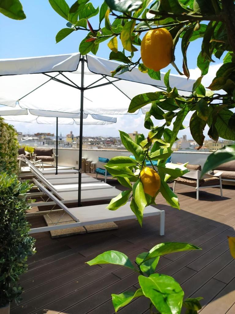 DOGANA RESORT - 4