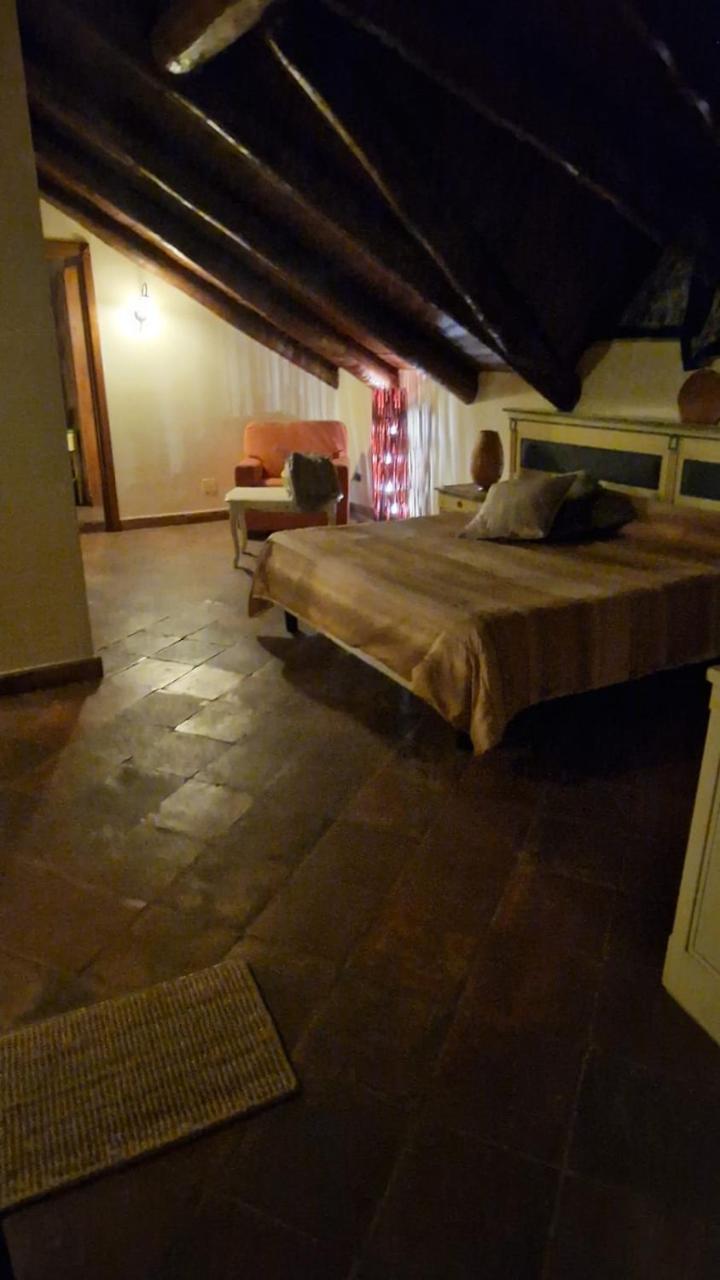 Tenuta Oliva photo 3