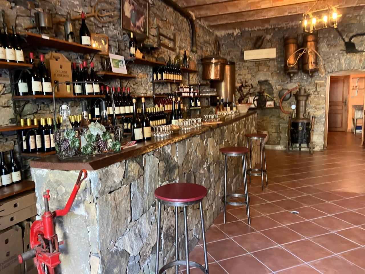 Hotel Du Vignoble photo 3