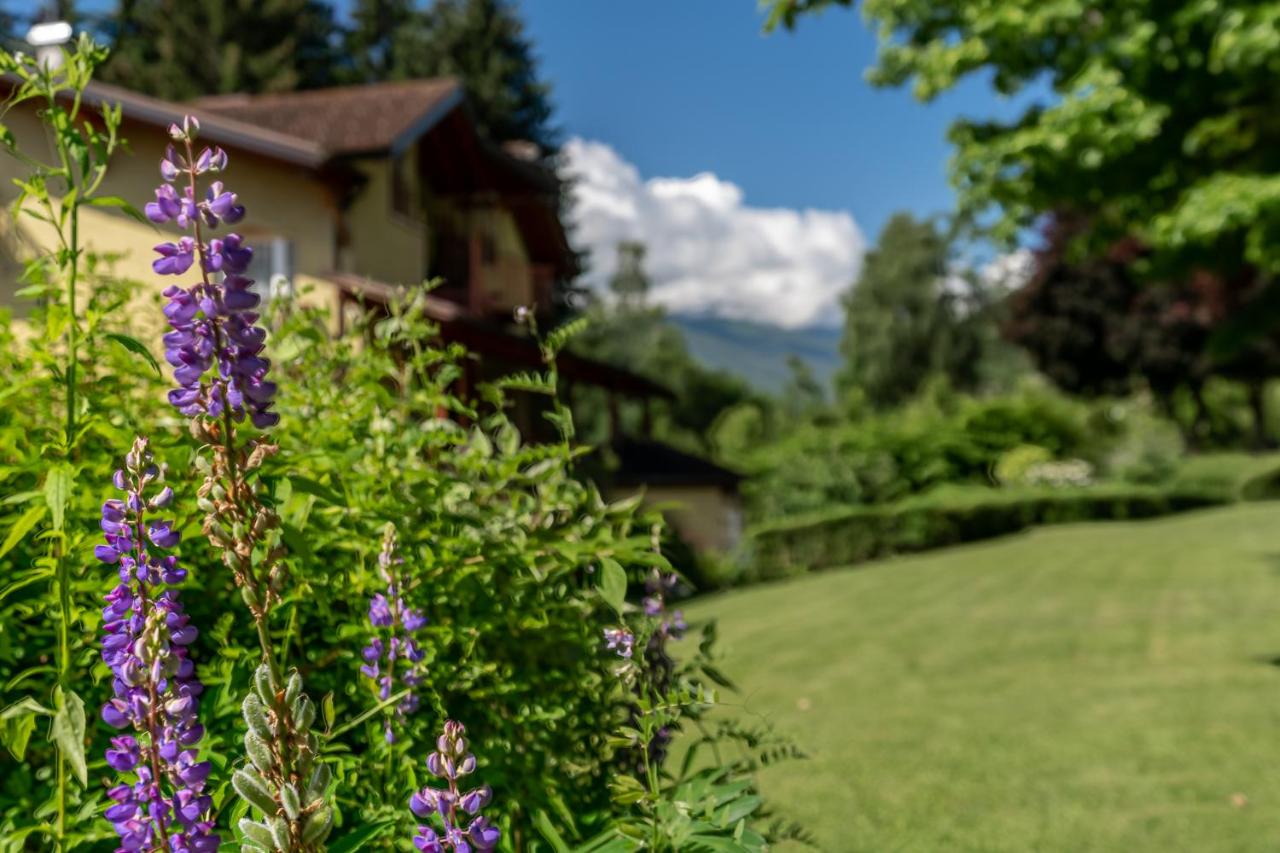 Hotel Bella Di Bosco