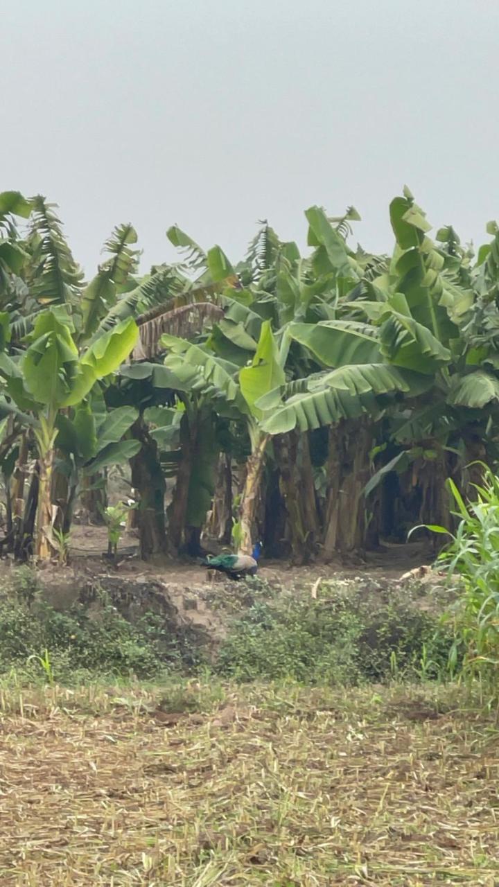 Tekri Farms and Retreat
