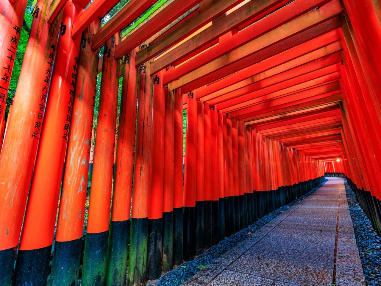 THE BLOSSOM KYOTO photo 4