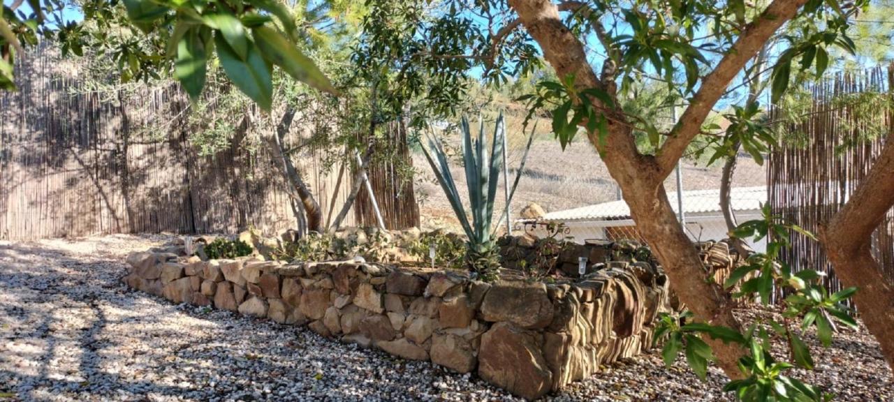 Bed & Breakfast Casa Ceratonia - 6