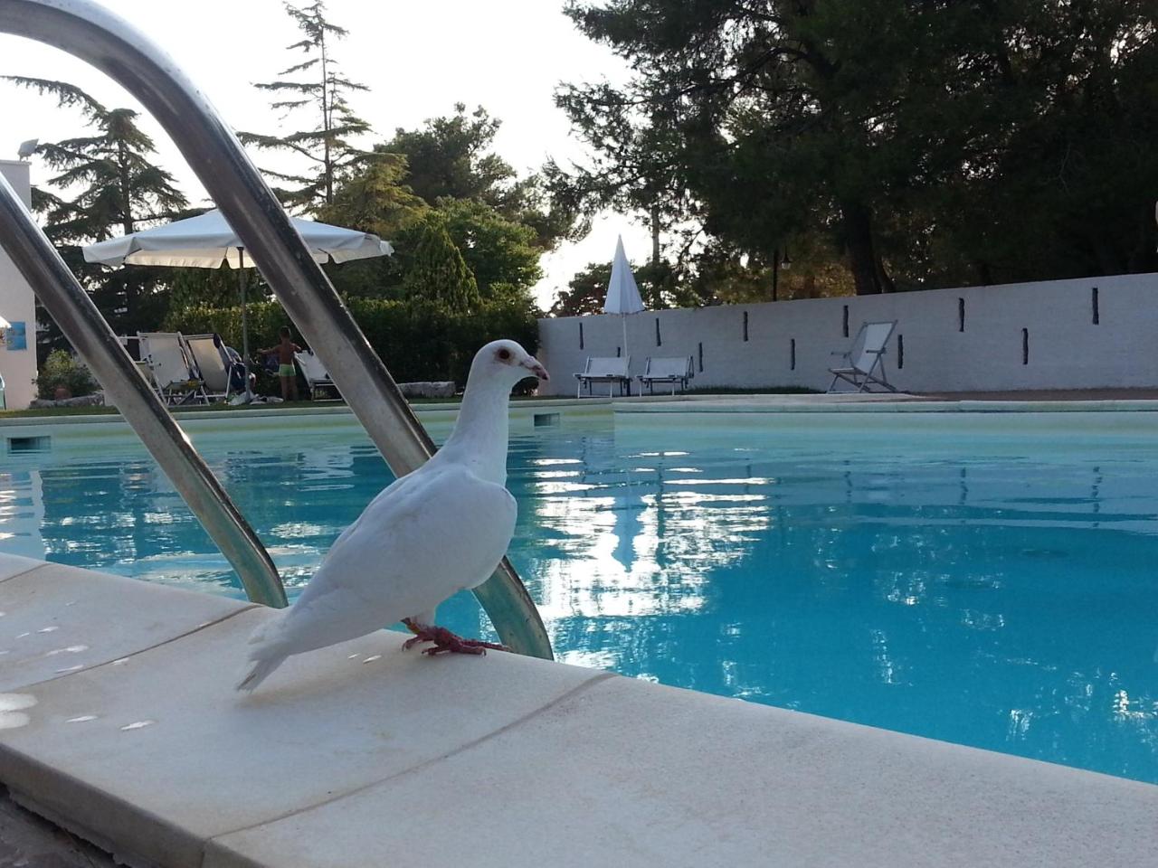 La Ferula Bed&Pool photo 3