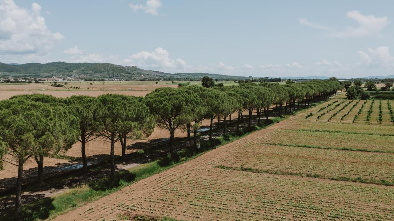 Terra di Cortona photo 3