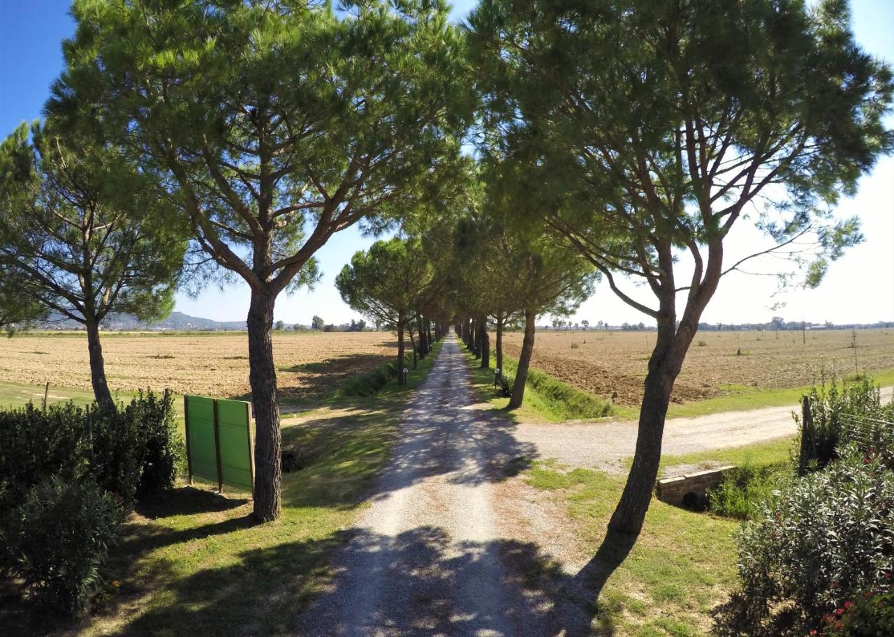 Terra di Cortona photo 2