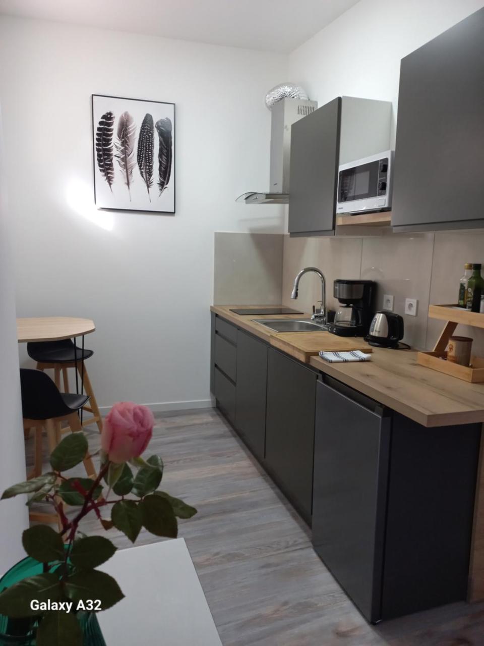 Rhône Studio avec terrace parking privé - 3