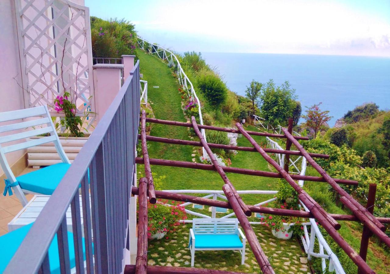 Tenuta Solomita - 4