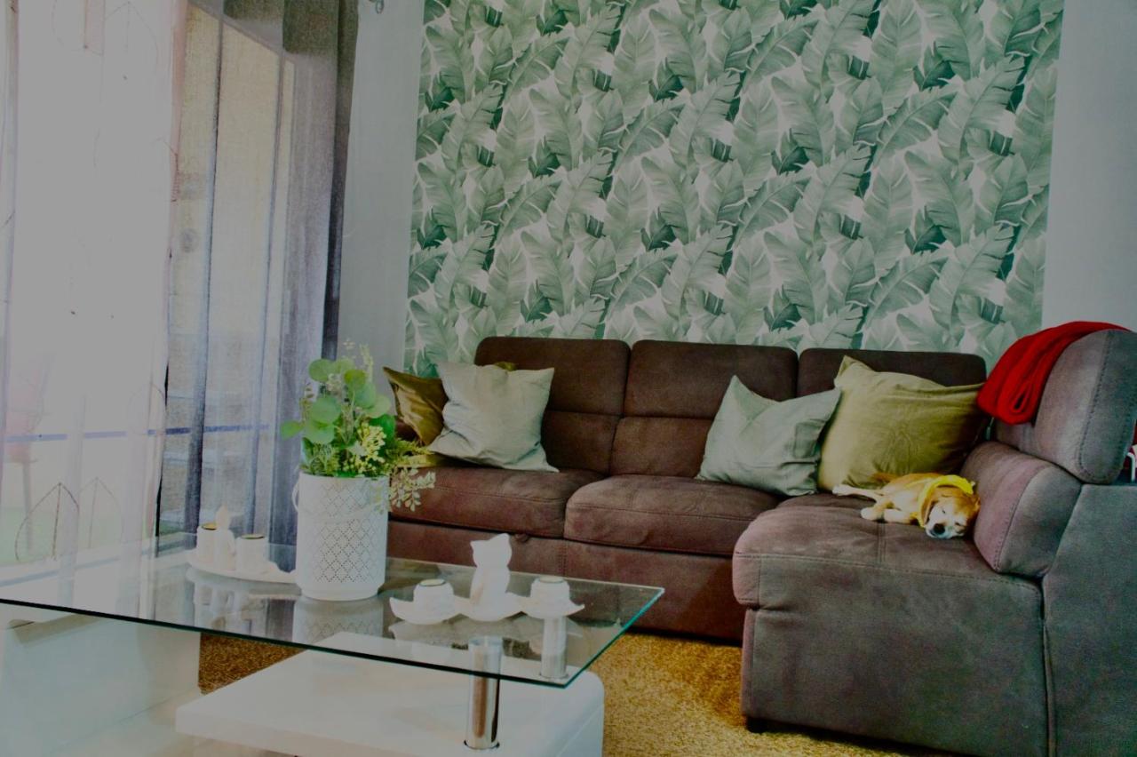 Heart and Soul Apartment - 6