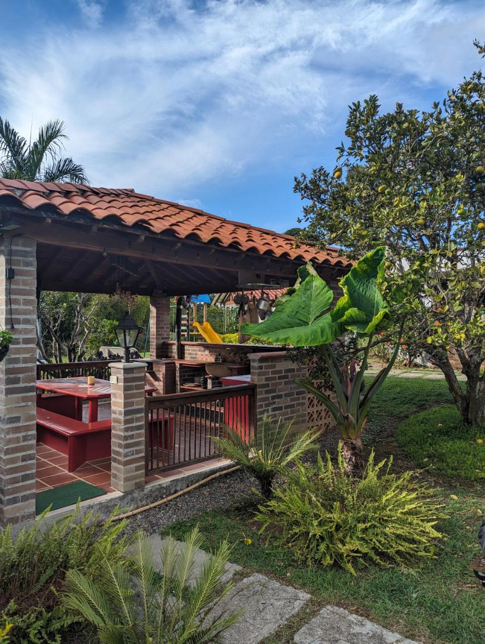 Patio Bonito photo 4
