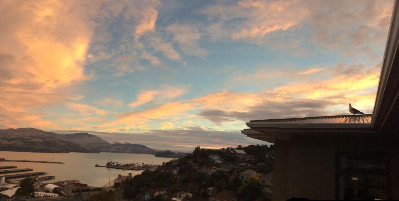 Harbour Lodge photo 3