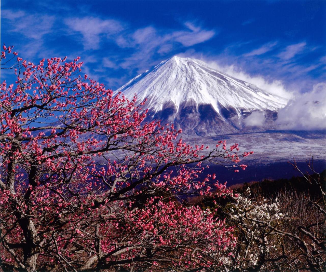 Kyukamura Fuji photo 3