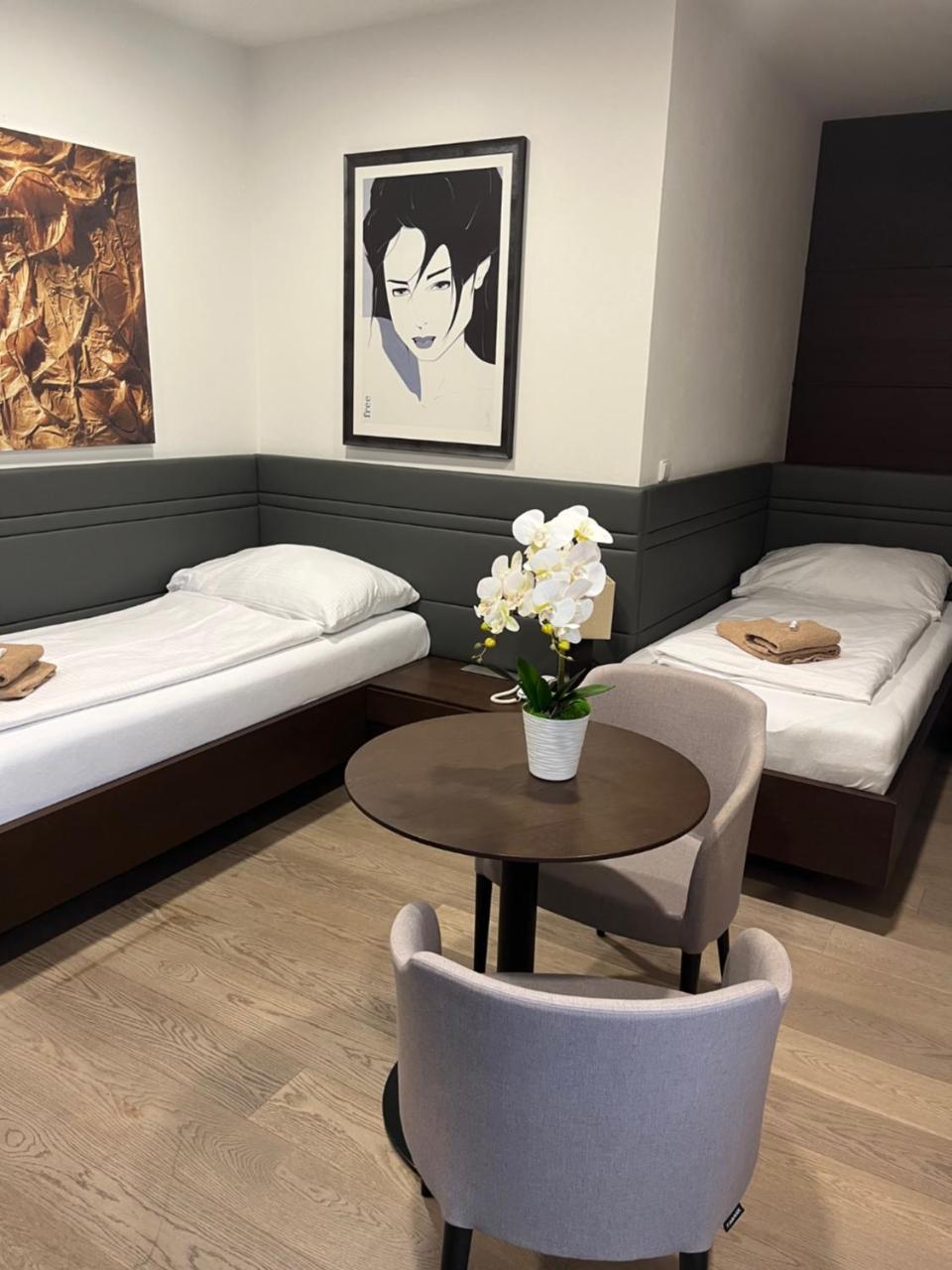 Hotel Harmony Medical & Wellness-Free Parking, 1,8km from the center - 3