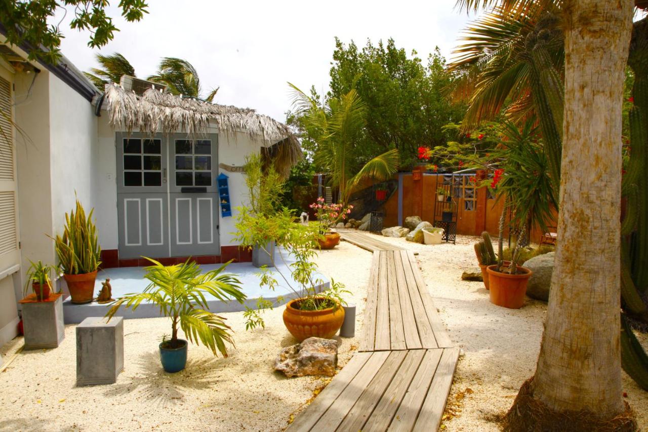 Beach House Aruba Apartments photo 4