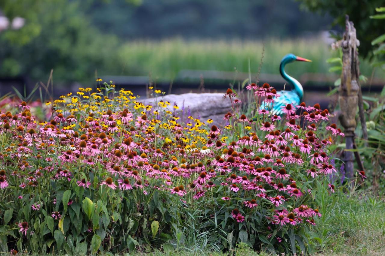 Pheasant Field Bed and Breakfast photo 2