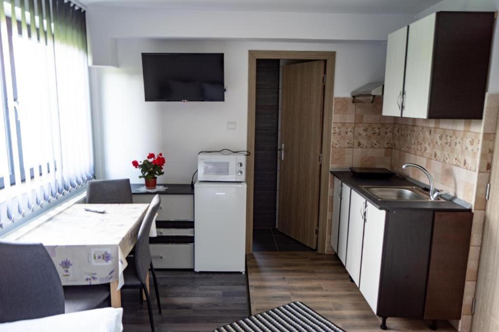 Apartamente Ambrus Praid - 6