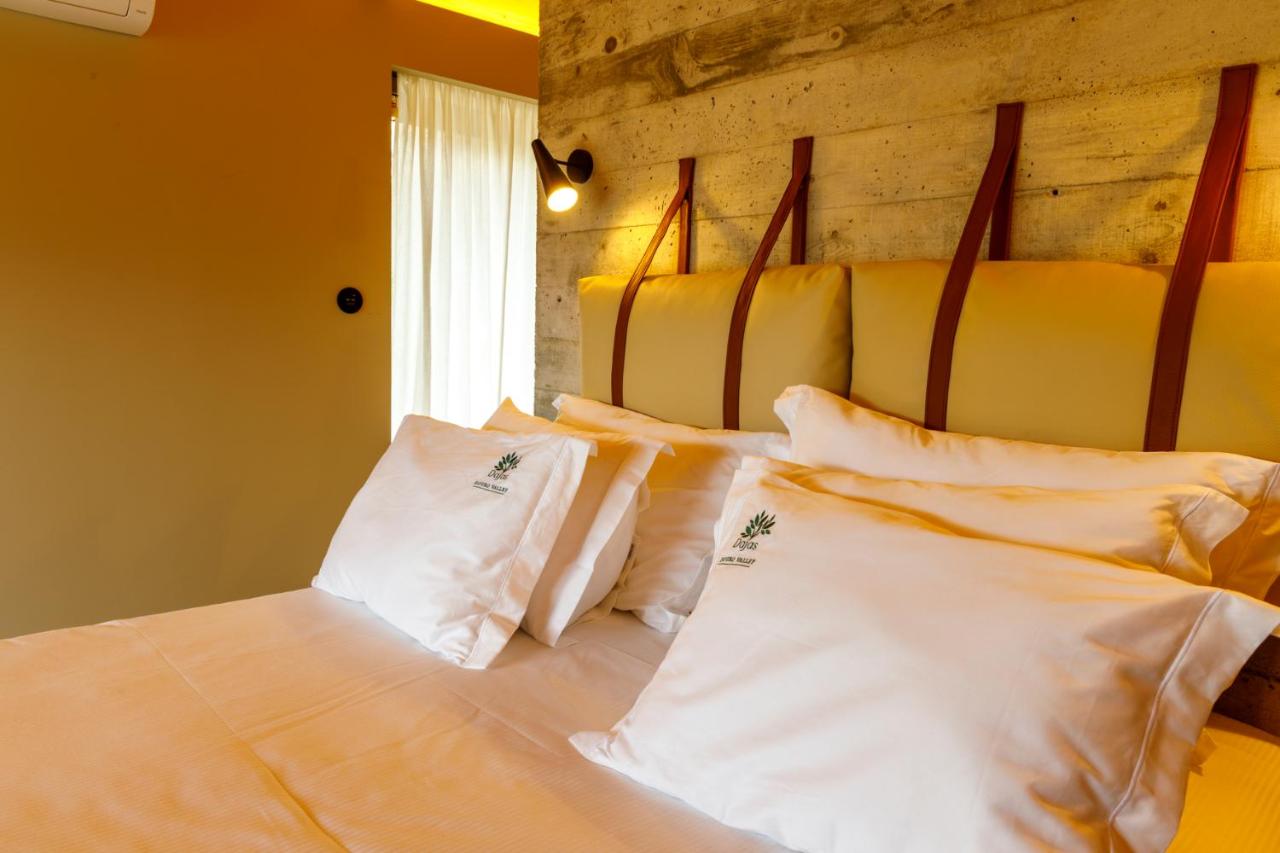 Dajas Douro Valley - Exclusive Villas photo 3