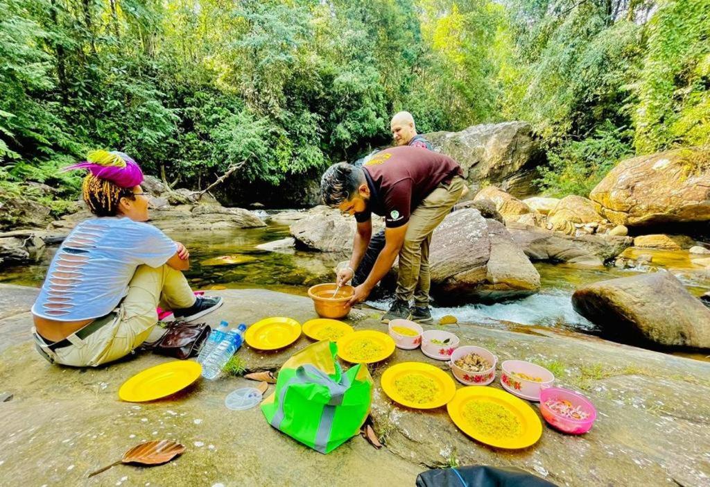 Rain Forest Star photo 3