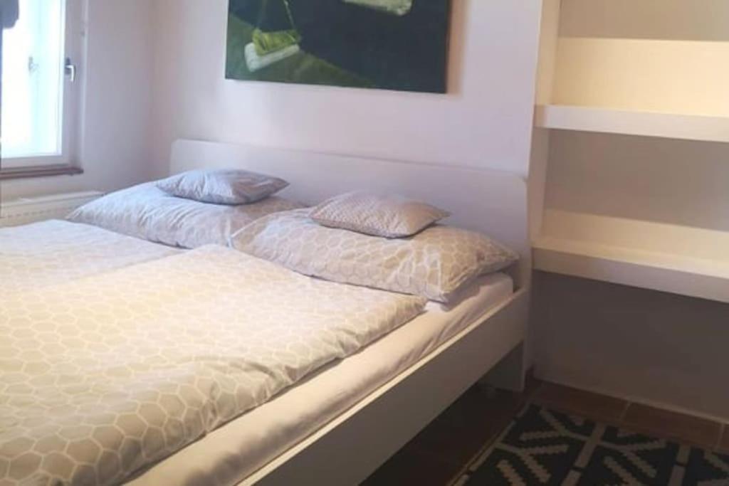 Casa Linum. U centra Zlína s atmosférou venkova. - 3