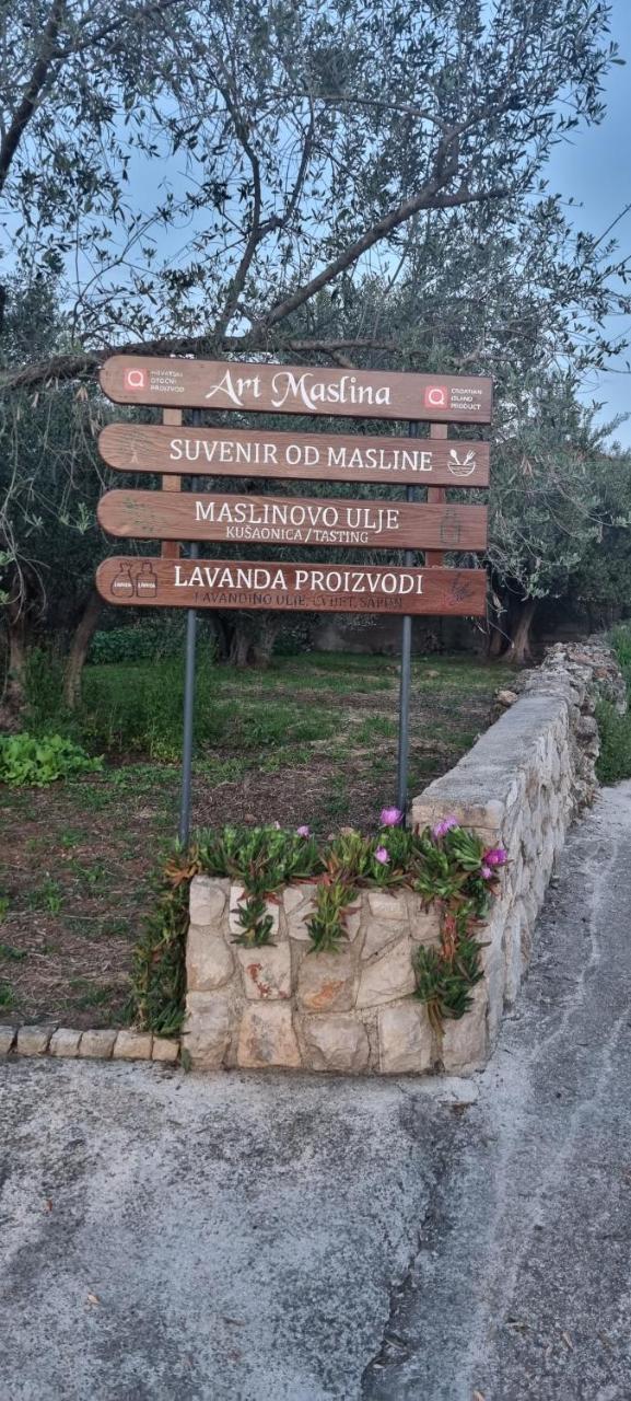 Senkini Dvori - 5