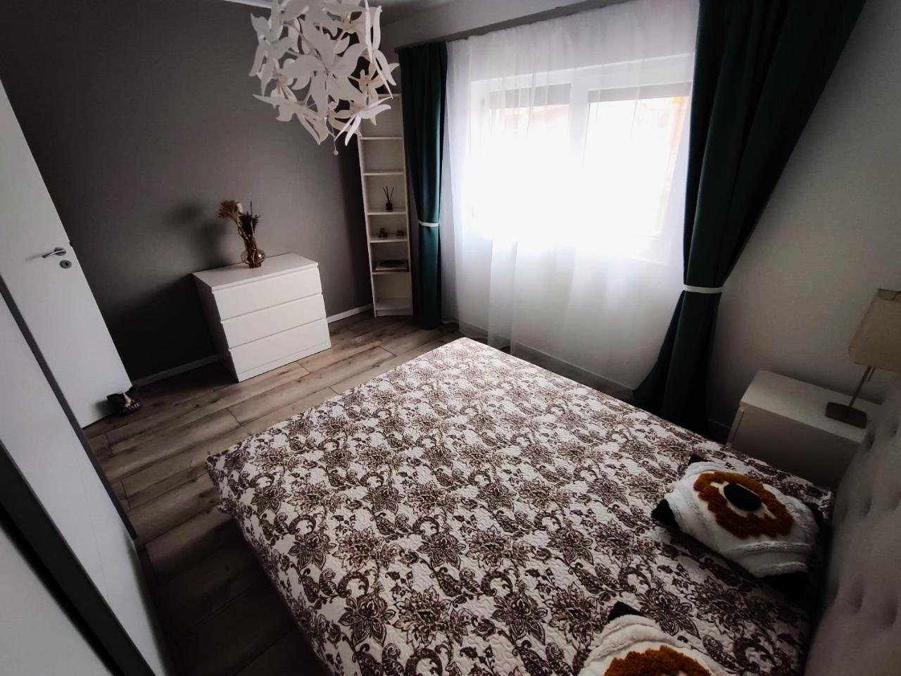 Mosnita Apartament - 6