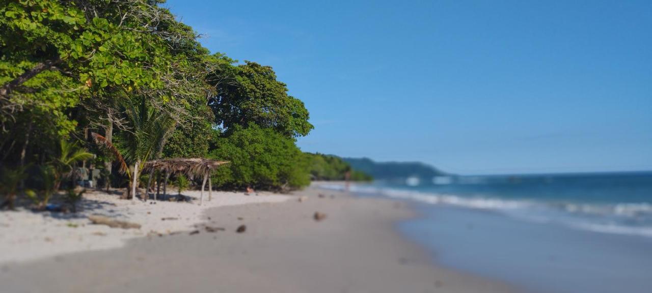 Armadillo Bungalows, walk to the Beach - Santa Teresa photo 3