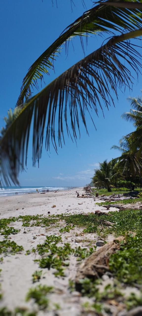 Armadillo Bungalows, walk to the Beach - Santa Teresa photo 4
