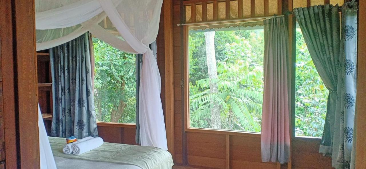 On The Rocks Bungalows, Restaurant and Jungle Trekking Tours - From May to September only stay here if you are booking jungle treks with us - feel free to contact us about our Jungle Trekking services photo 2