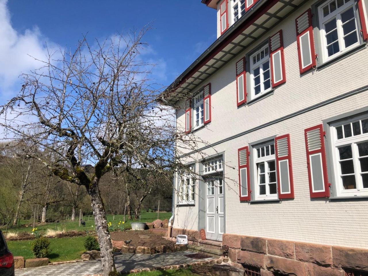 Ferienwohnung am Stockerbach - 2