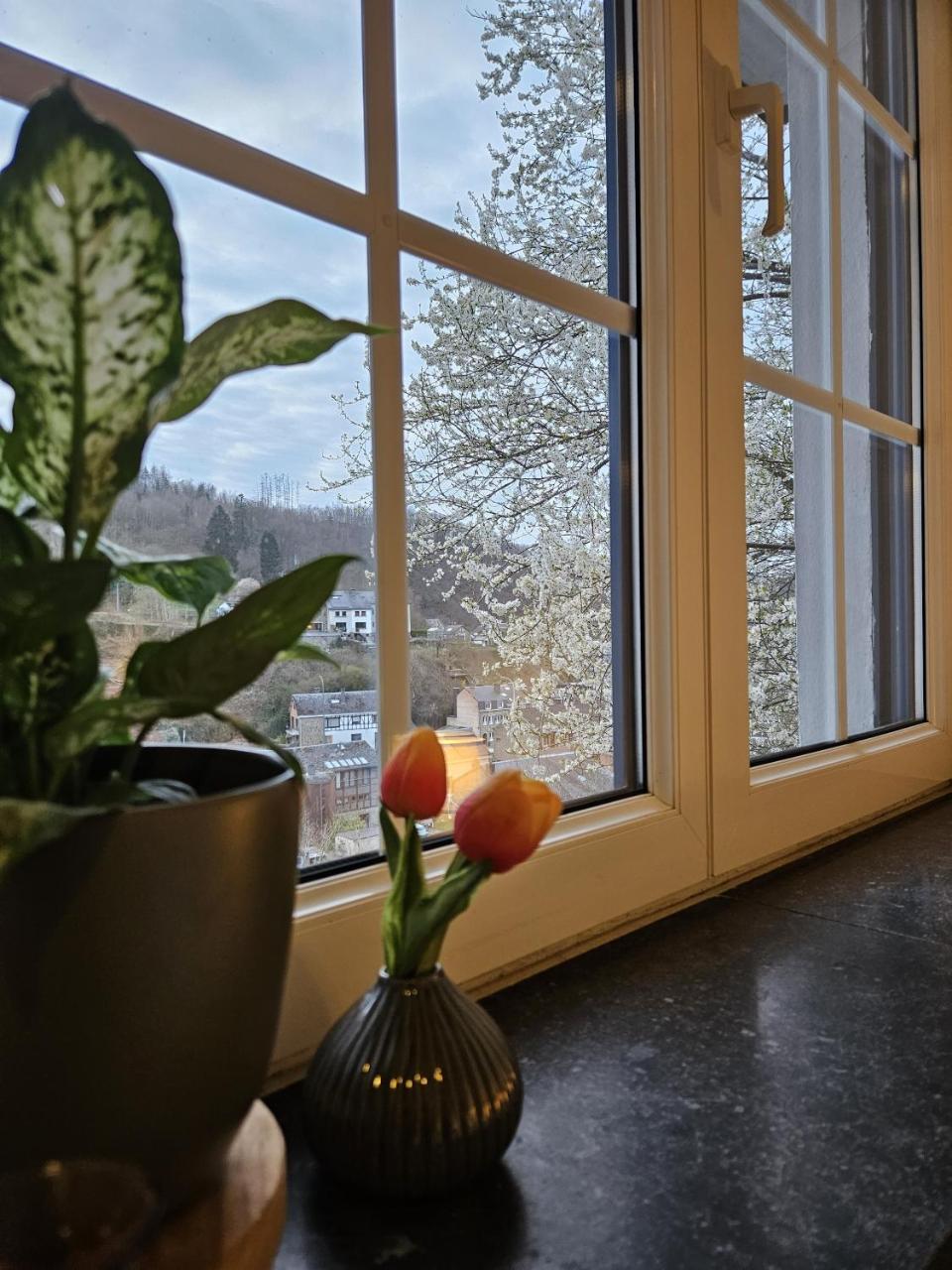 Villa Le Monde - La Roche-en-Ardenne photo 4