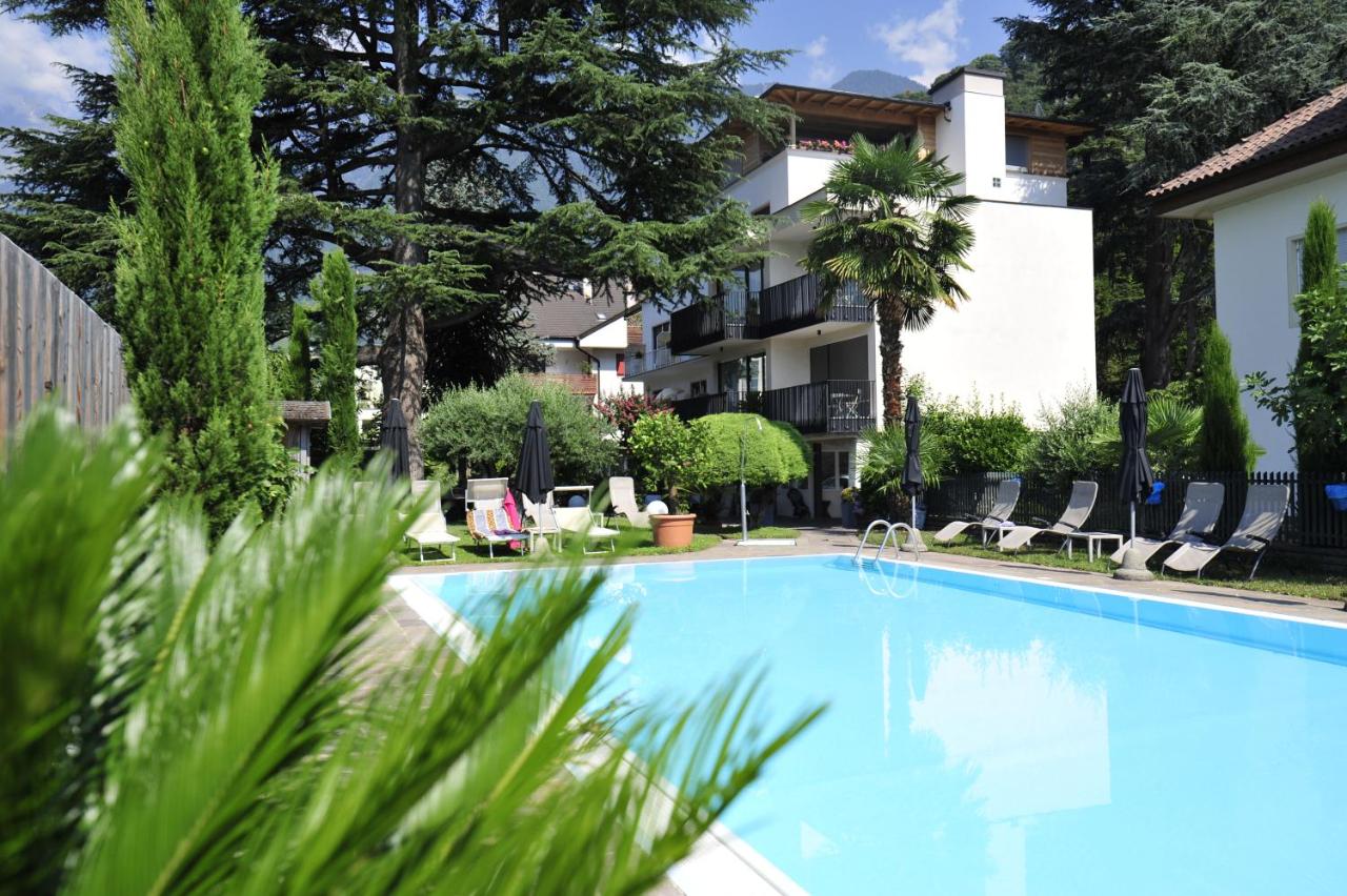 Foto - Hotel Jasmin