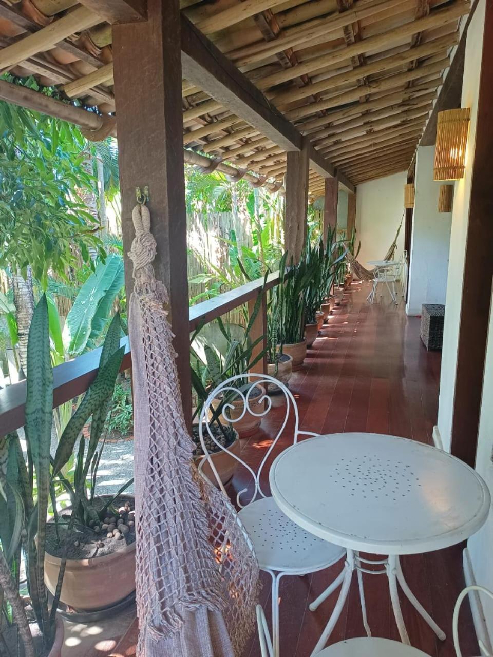 Monkey Casa Hotel photo 2