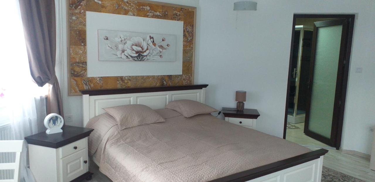 Vila Flory Voronet - 6