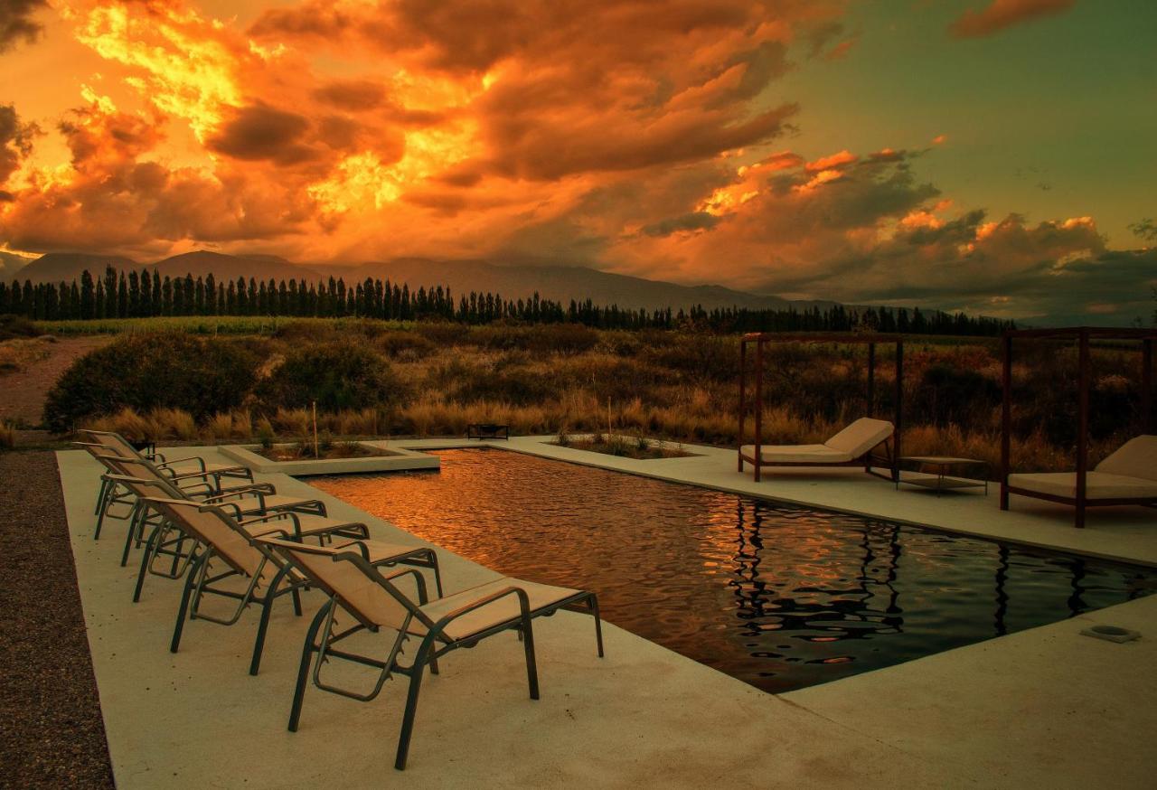 Bodega Alpasión Lodge y Glamping photo 2