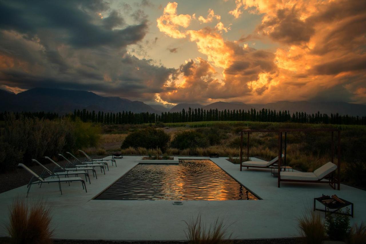 Bodega Alpasión Lodge y Glamping photo 4