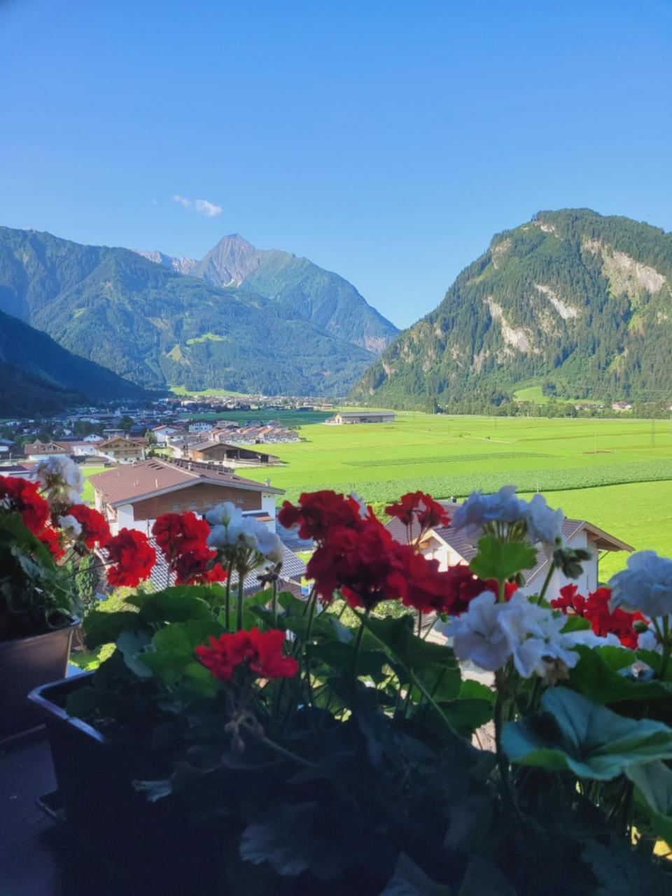 Photo - Hotel Eckartauerhof