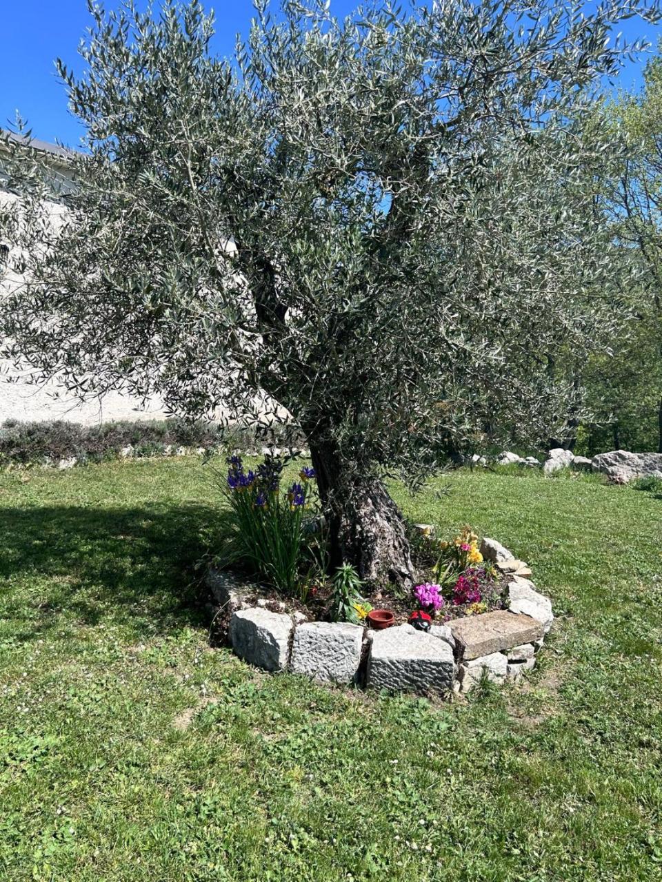Residence San Martino - 3