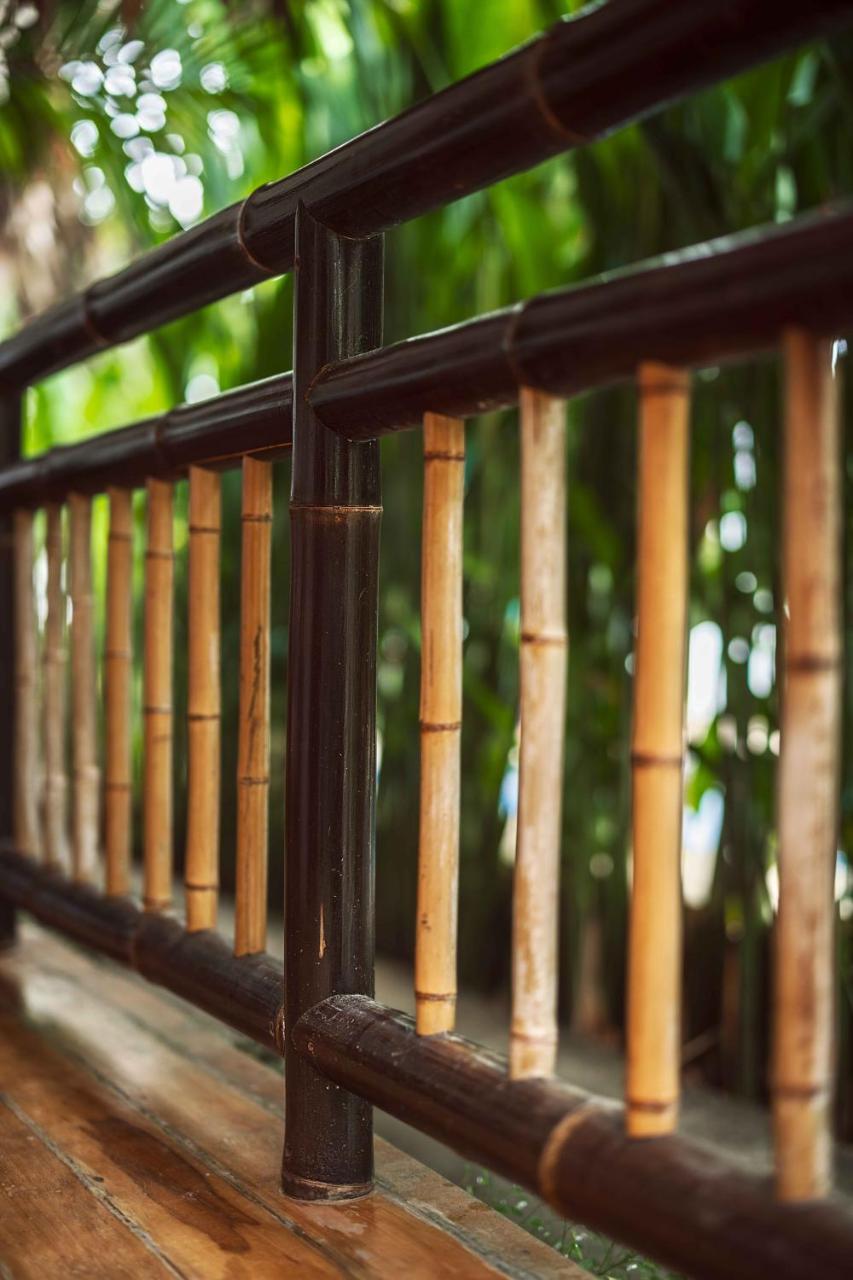 Black Bamboo photo 2