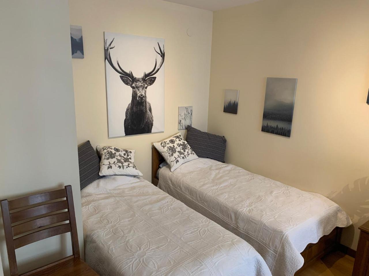 Studio 5 in Pirin Golf - 5
