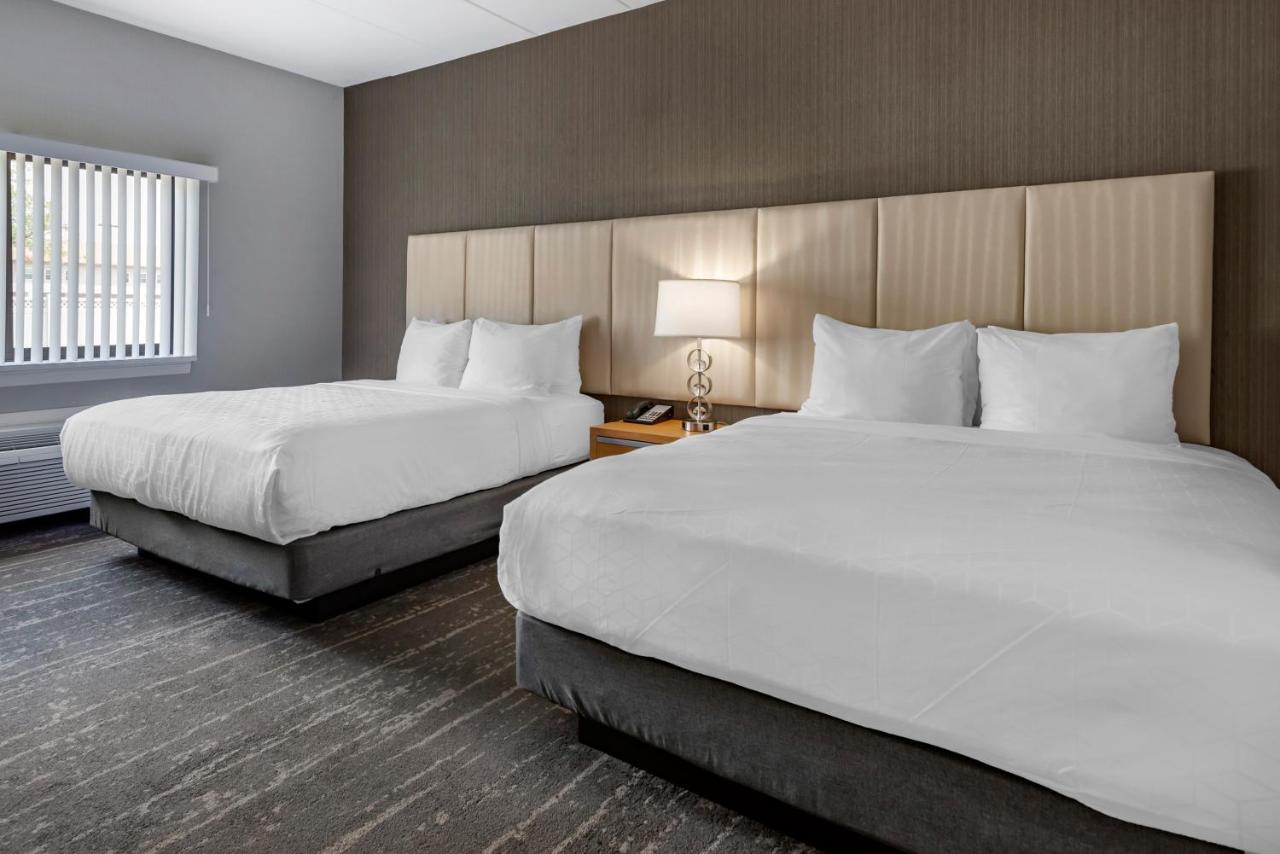 Amwell Suites- Somerset photo 4