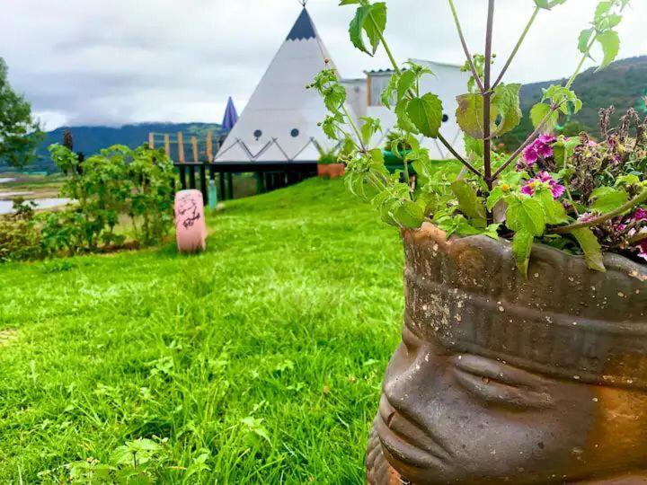 Glamping Mafer 4 Tipi pequeño photo 2