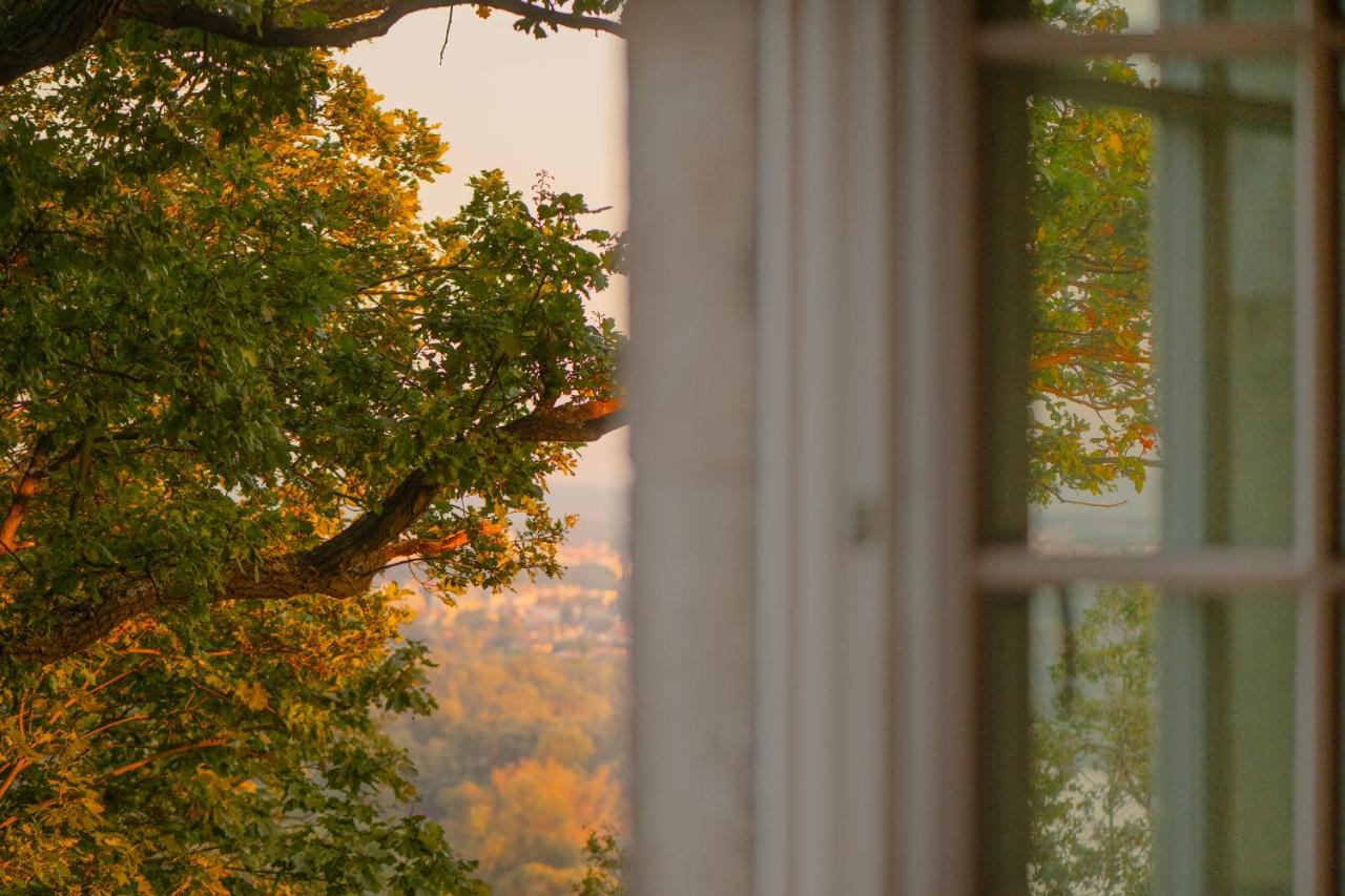 Forest Hotel photo 3