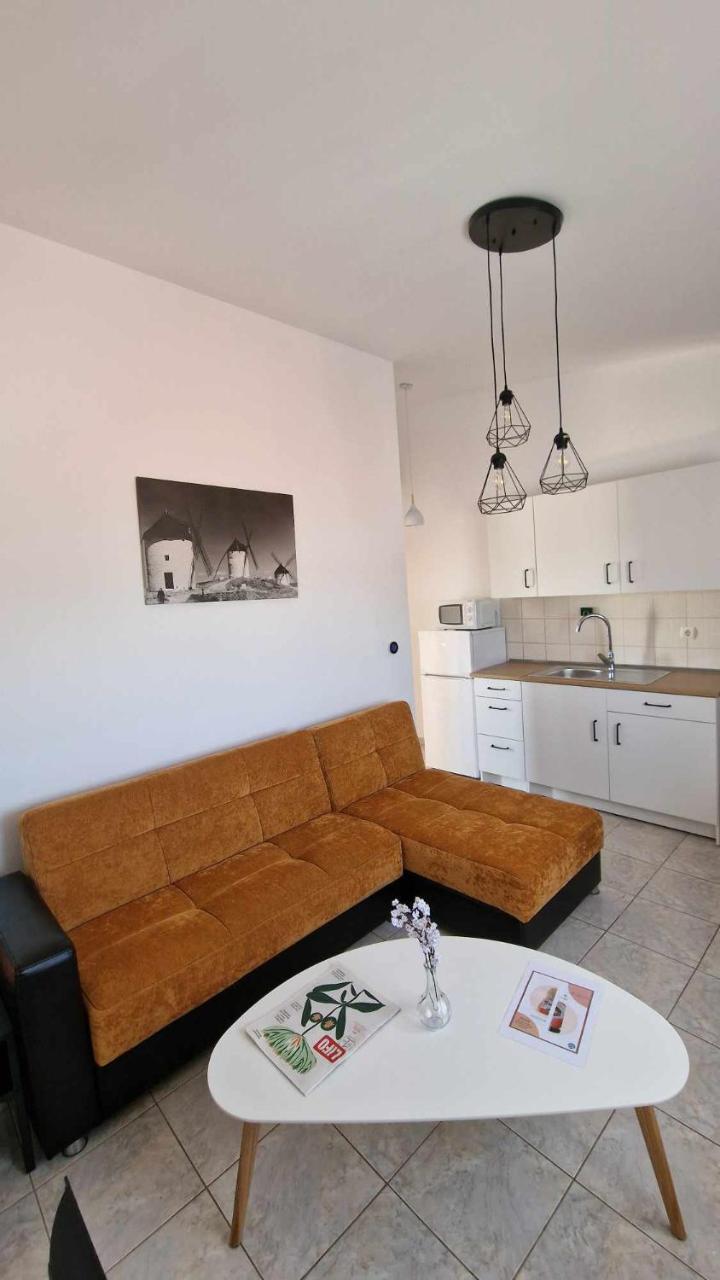 Kofinaki apartment 2 - Tychero Evros - 3