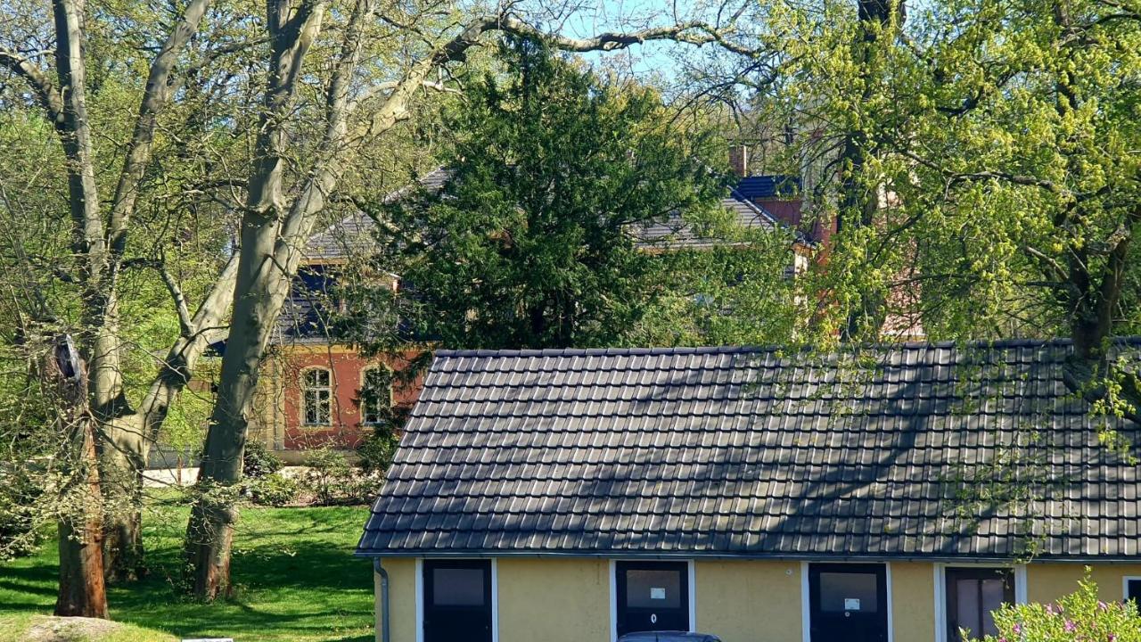 Ferienwohnung Schlossblick Direkt gegenüber dem Schloss, Rhododendronpark mit Terrasse und WLAN - 4